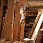 Escultura en madera y hierro. Gubiarte