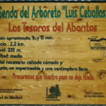 Talla en madera. Cartelería. Cartel Arboreto. Gubiarte