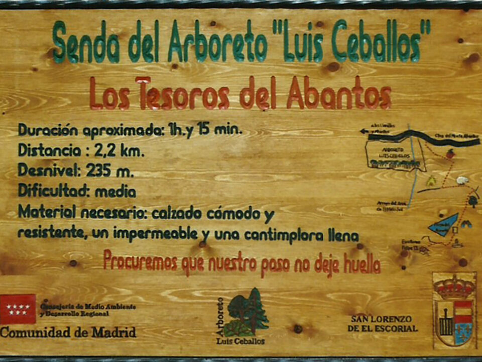 Talla en madera. Cartelería. Cartel Arboreto. Gubiarte