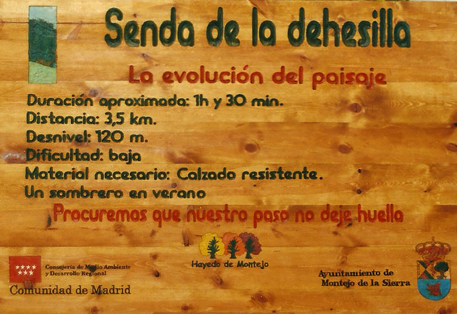 Talla en madera. Cartelería en madera. Cartel Senda de la dehesa. Gubiarte
