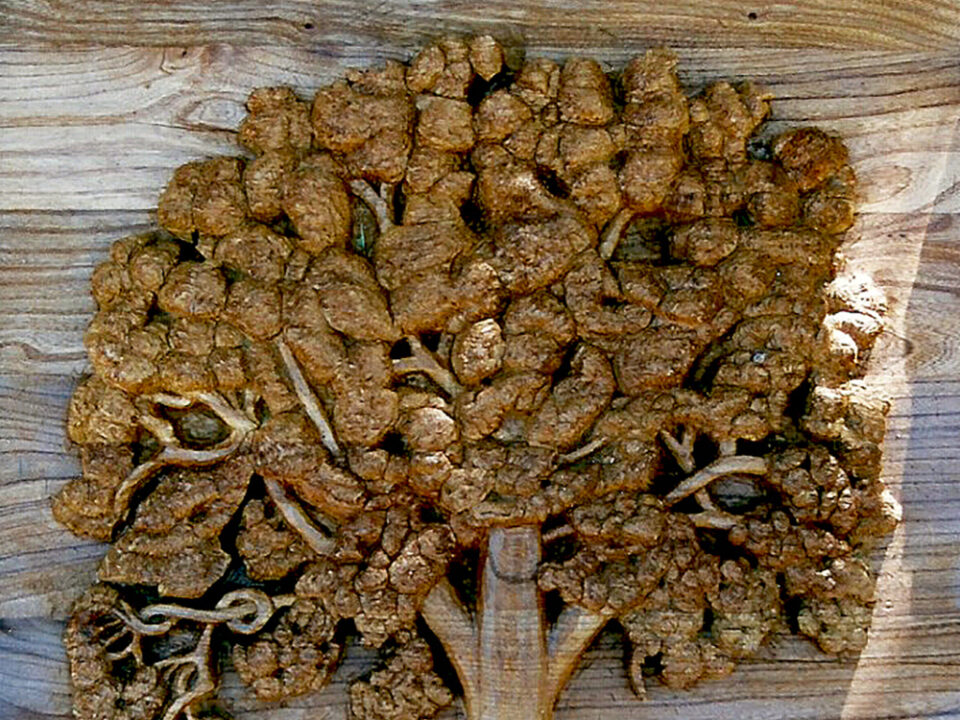 Talla en madera. Cartelería en madera. Encina. Gubiarte. Detalle