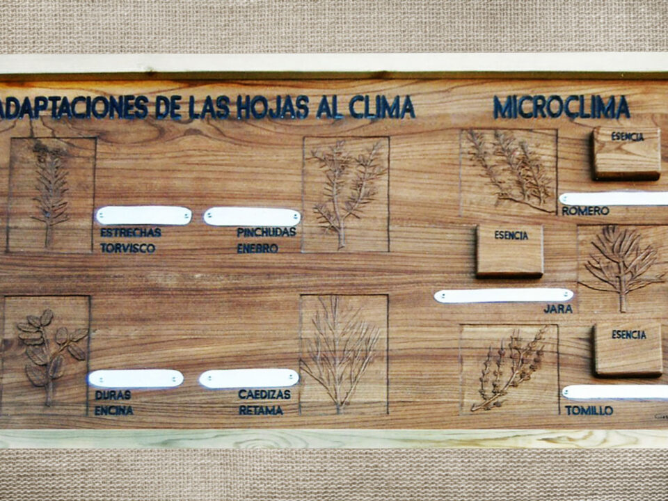 Talla en madera. Cartelería en madera. Cartel hojas. Gubiarte