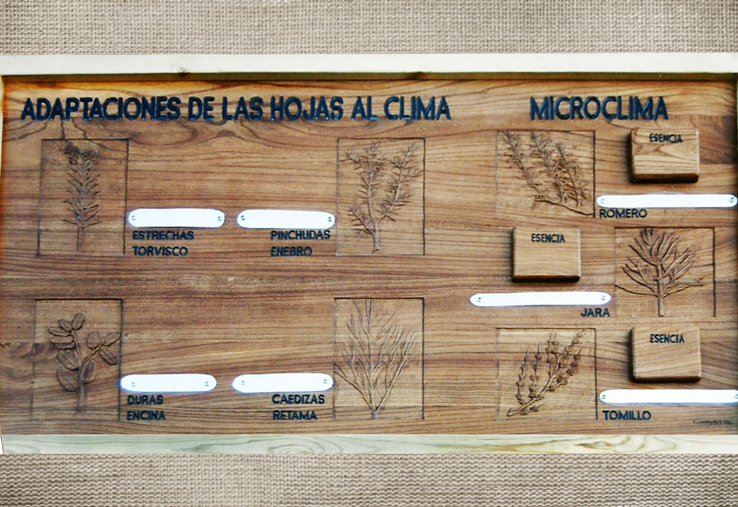 Talla en madera. Cartelería en madera. Cartel hojas. Gubiarte