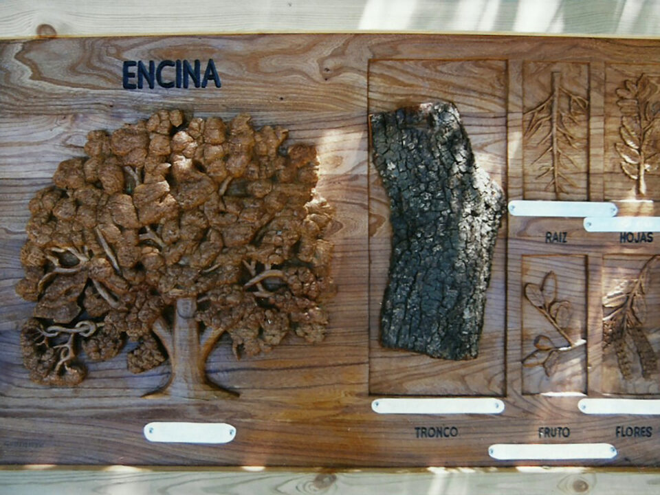 Talla en madera. Cartelería en madera. Cartel panel encina. Gubiarte