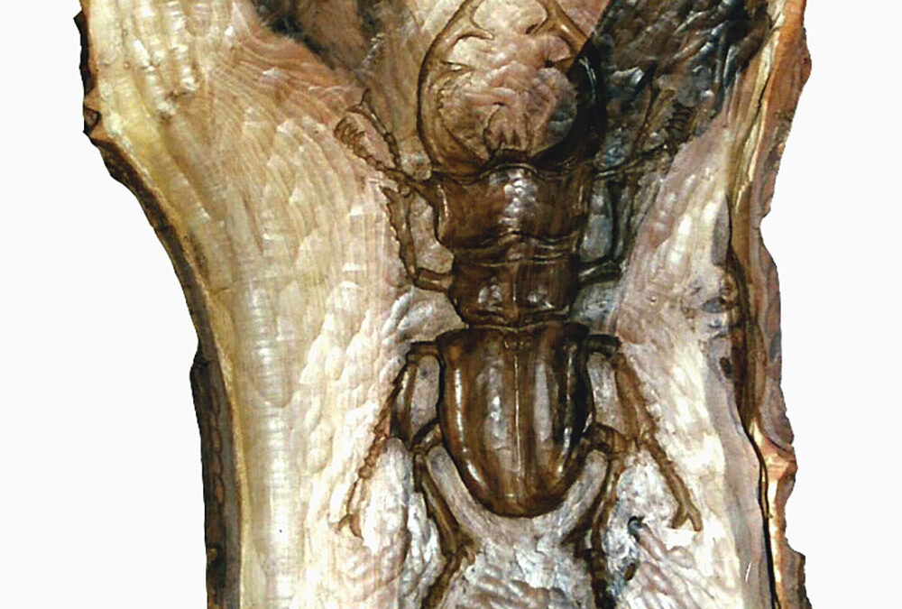 Talla en madera. Escarabajo. Gubiarate