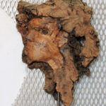 Talla en madera. Terpsícore. Gubiarte